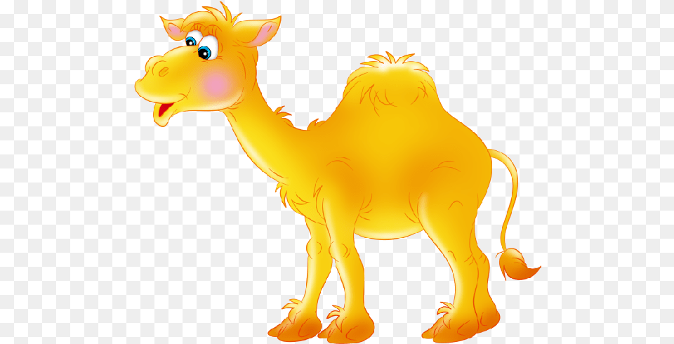 Pin Cute Camel Clipart, Animal, Mammal, Horse Free Transparent Png
