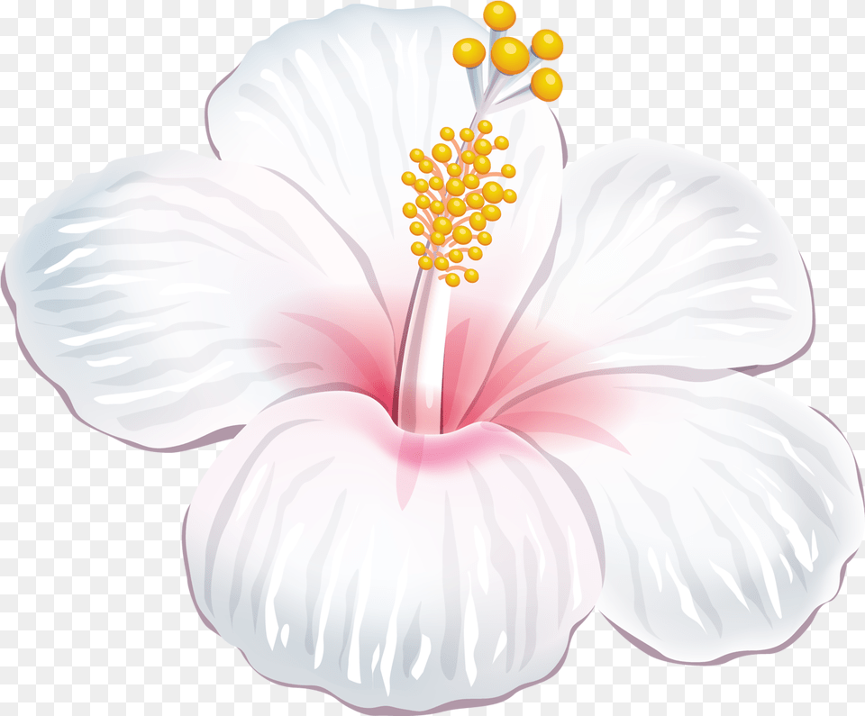 Pin De Luluk Purwantono Em Gambar Bunga Imagem Floral Moana Flores Hawaianas, Anther, Flower, Plant, Pollen Free Transparent Png