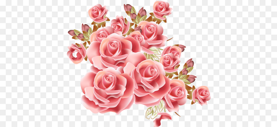 Pin Di People Quotes Blue Rose Plant, Flower, Flower Arrangement, Flower Bouquet Free Png Download