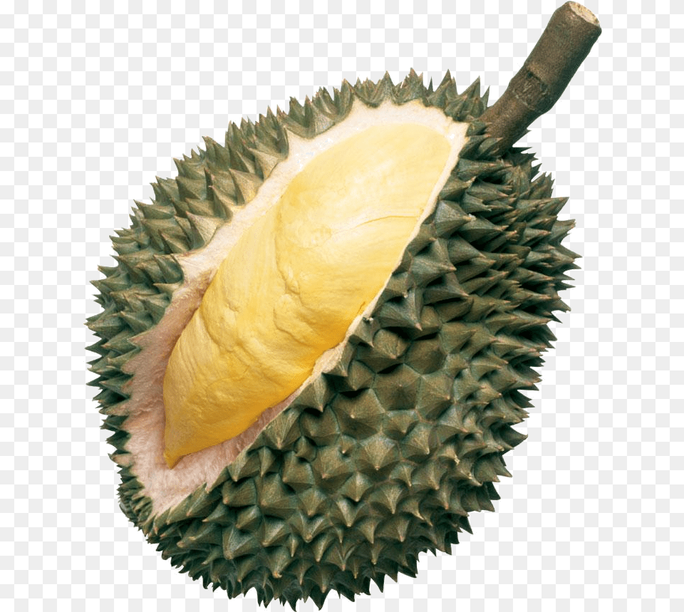 Pin Durian, Food, Fruit, Plant, Produce Free Png Download