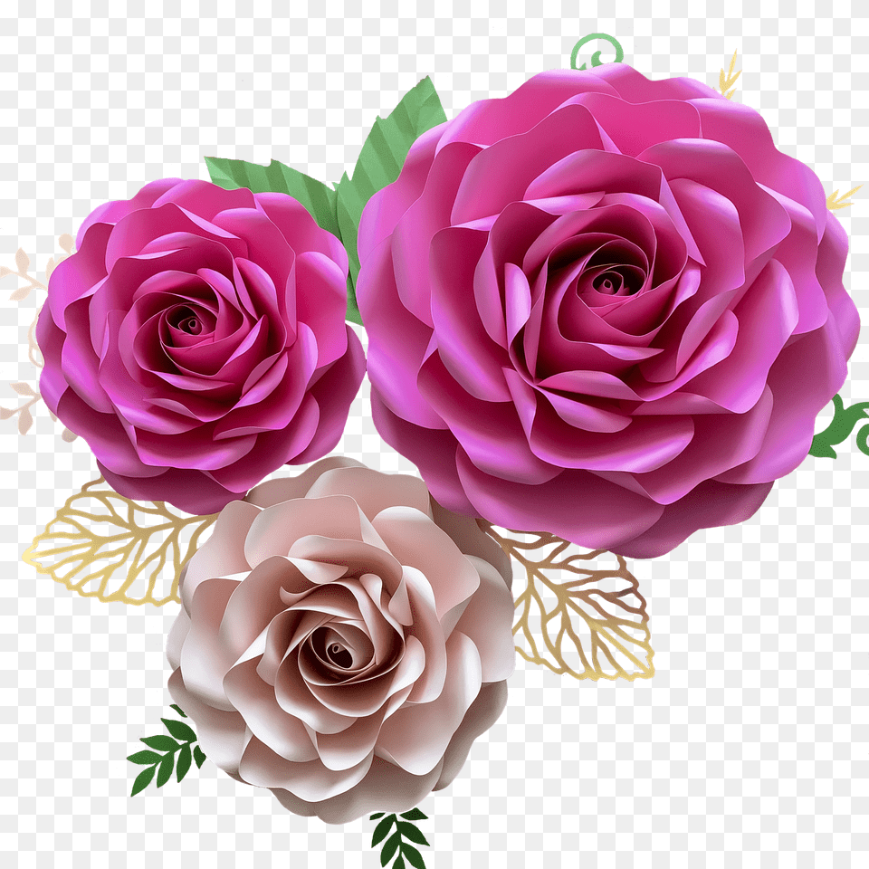 Pin Garden Roses Png