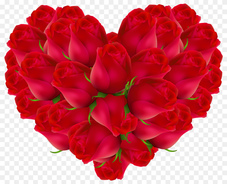 Pin Happy Valentine Day Advance Wishes, Rose, Dahlia, Plant, Flower Free Transparent Png