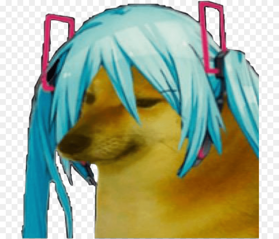 Pin Hatsune Miku Doge, Person, Clothing, Costume, Publication Png