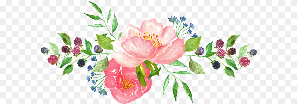 Pin Heypik Design On Images Mockups Vectors Graphic Transparent Watercolor Floral, Flower, Plant, Pattern, Art Png Image