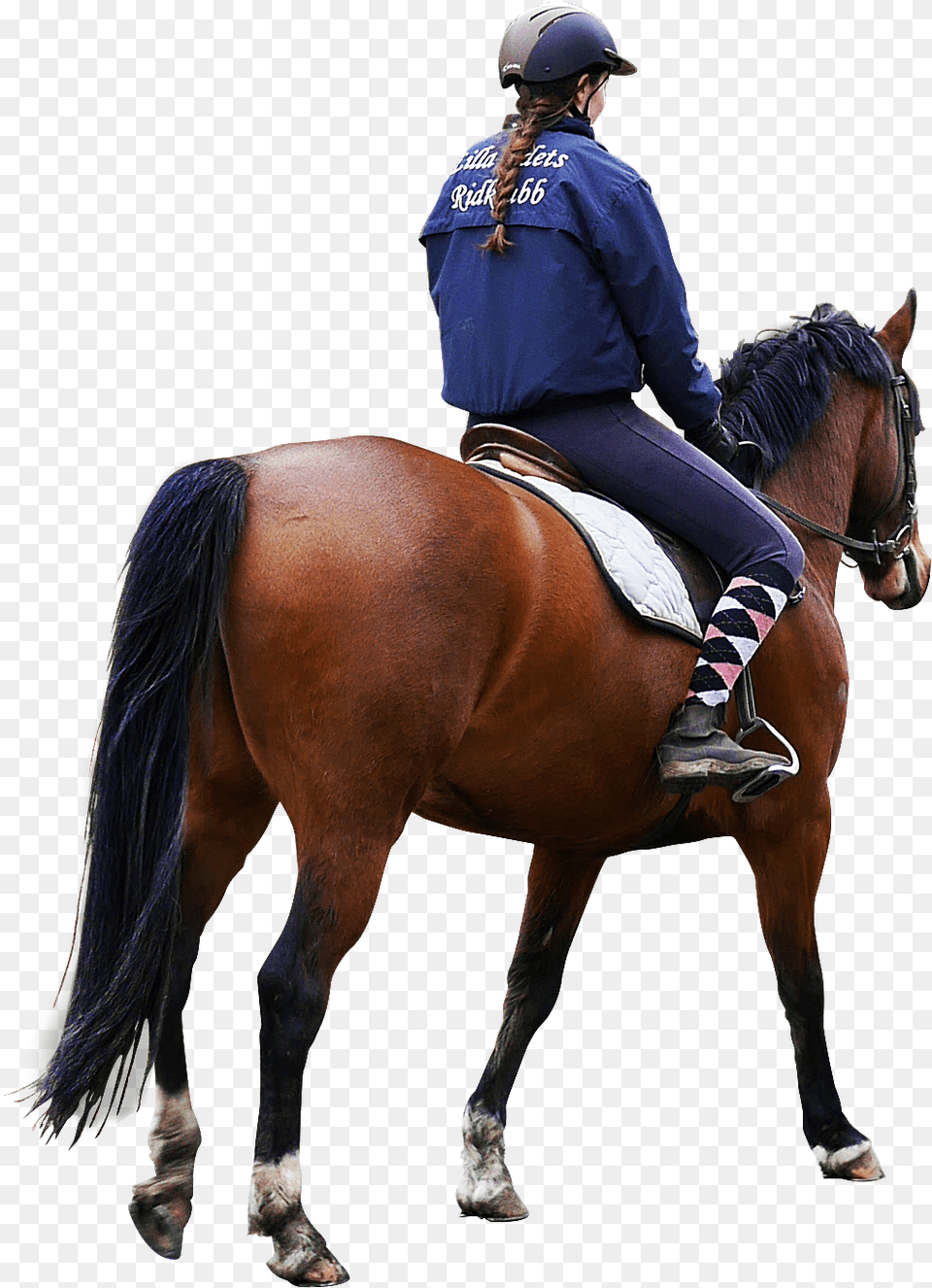 Pin Horse Rider, Person, Mammal, Equestrian, Animal Free Png Download