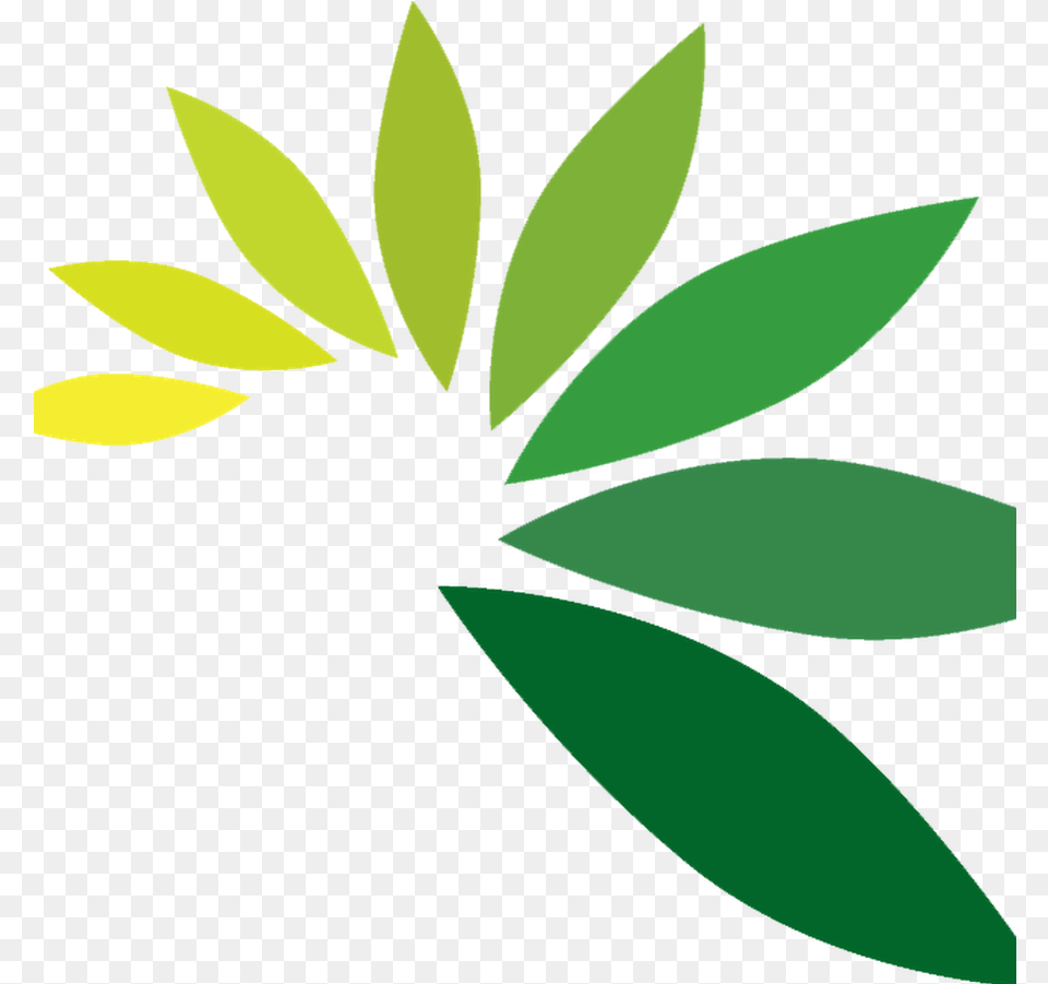 Pin Leaf Logo Hd, Herbs, Plant, Green, Herbal Png