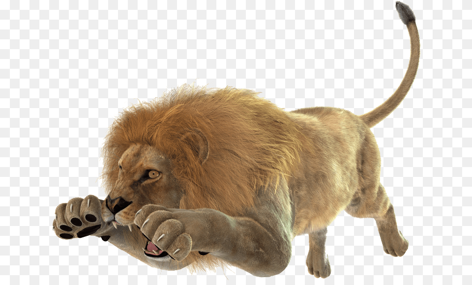 Pin Lion Attack White Background, Animal, Mammal, Wildlife, Electronics Free Png
