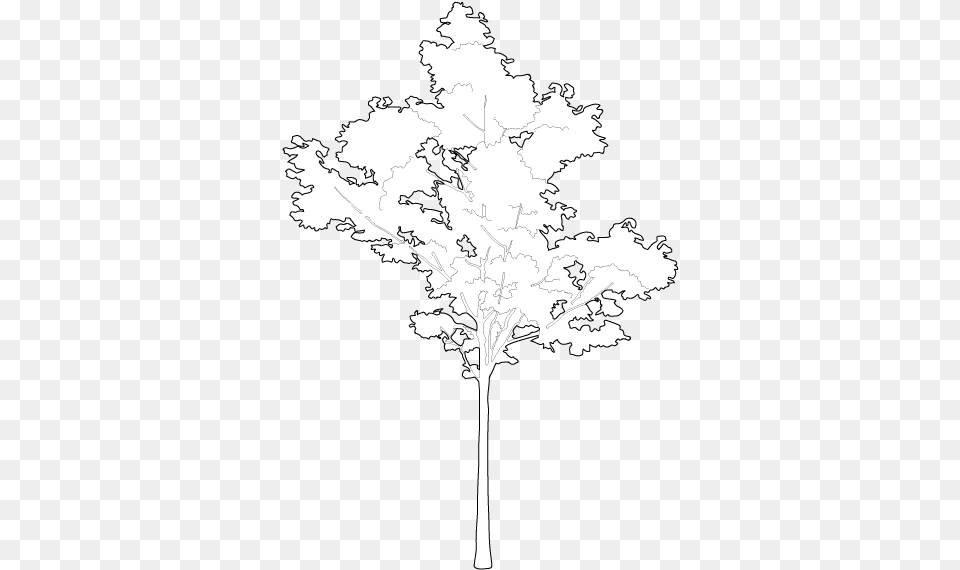 Pin Maple Tree Cad Block, Silhouette, Art, Stencil, Adult Free Png