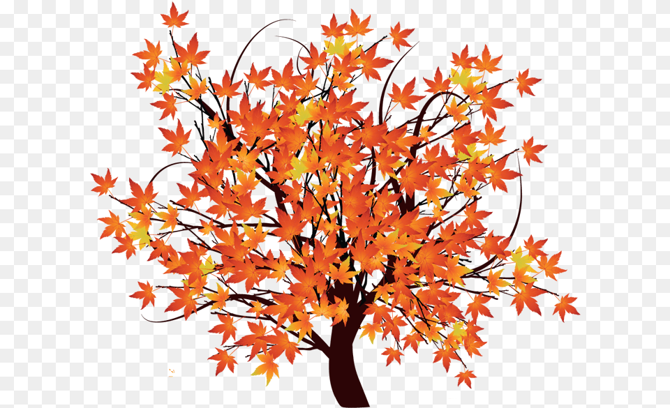 Pin Maple Tree Clip Art Maple Tree Vector, Leaf, Plant Png Image