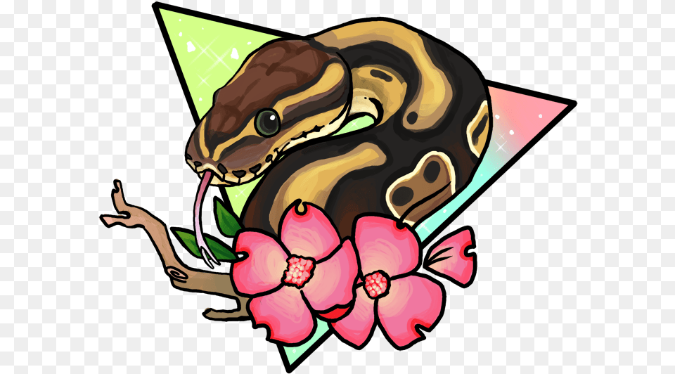 Pin Ni Firetear Vefox Sa Herps And Inverts Ball Python Clip Art, Flower, Plant, Adult, Female Free Png