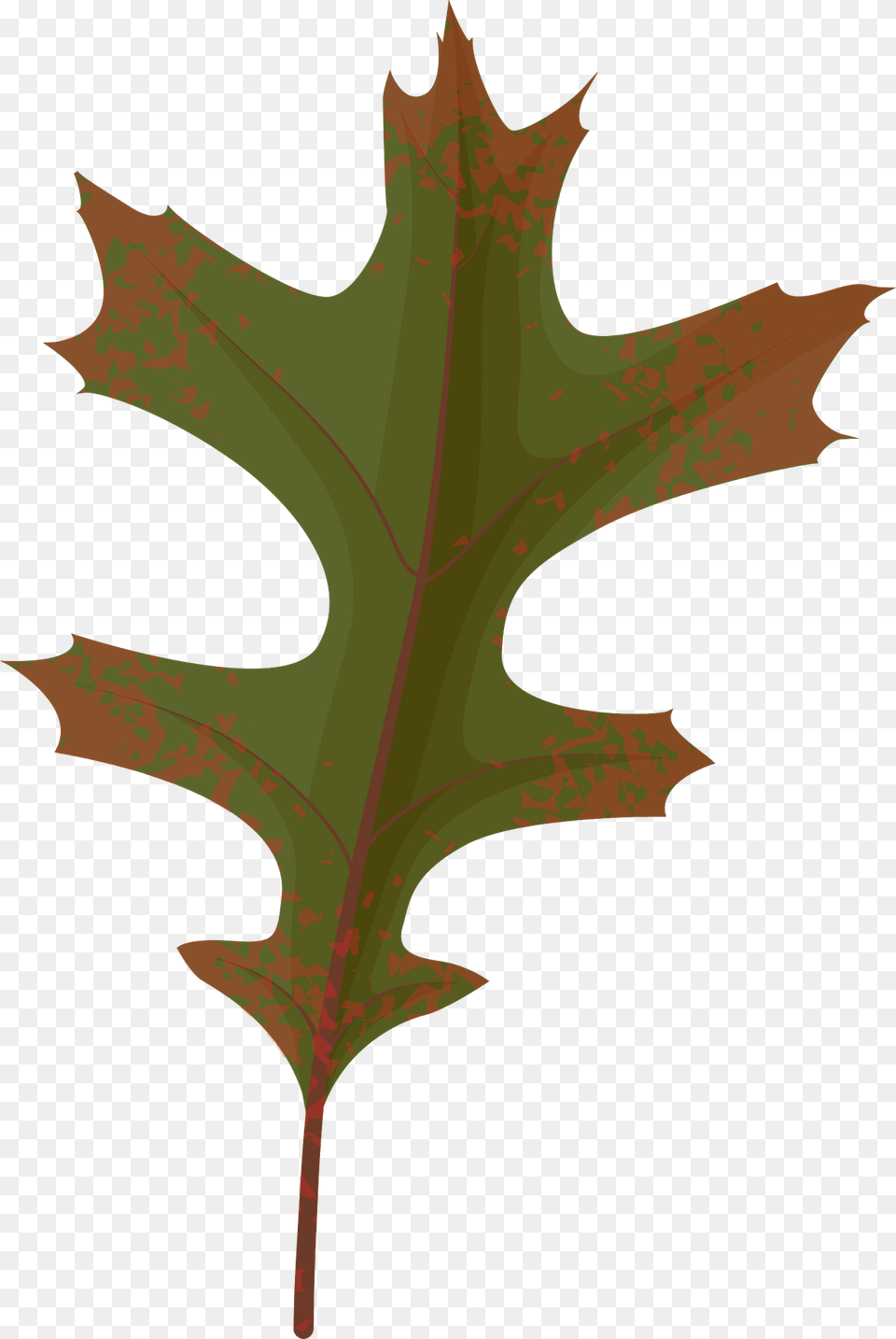 Pin Oak Autumn Leaf Clipart, Plant, Tree, Cross, Symbol Png Image