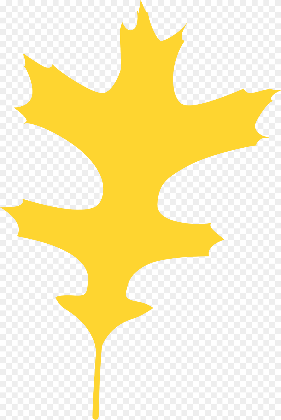 Pin Oak Leaf Silhouette, Maple Leaf, Plant, Animal, Fish Free Png Download