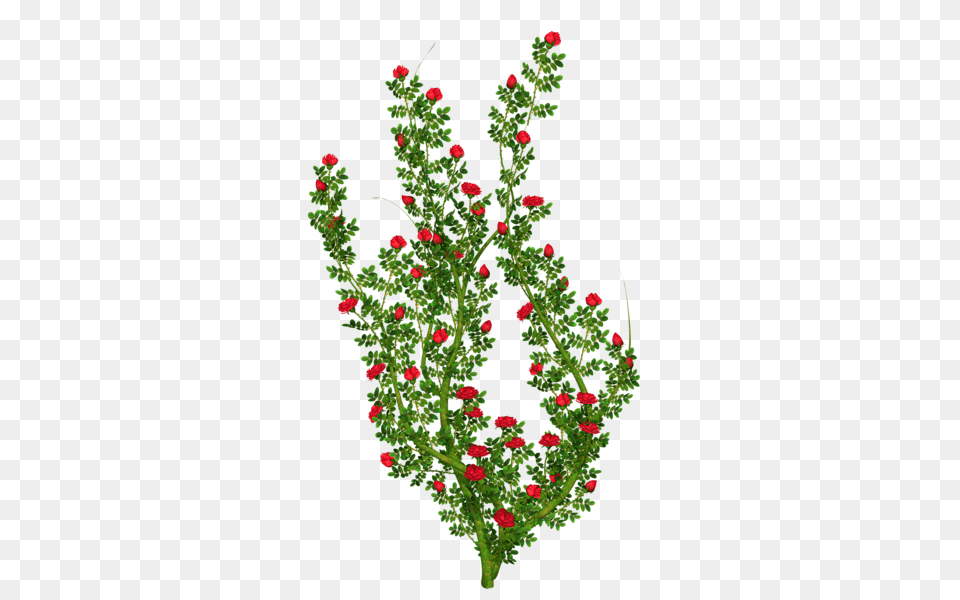 Pin Od Berezowska Na Mix Clip Art Pot, Plant, Flower, Flower Arrangement, Pattern Png Image