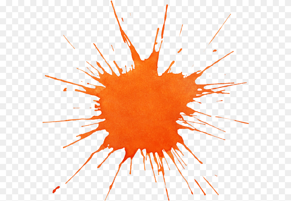 Pin Orange Paint Splatter Clip Art Orange Splat Orange Splatter, Stain, Leaf, Plant, Fireworks Free Png Download