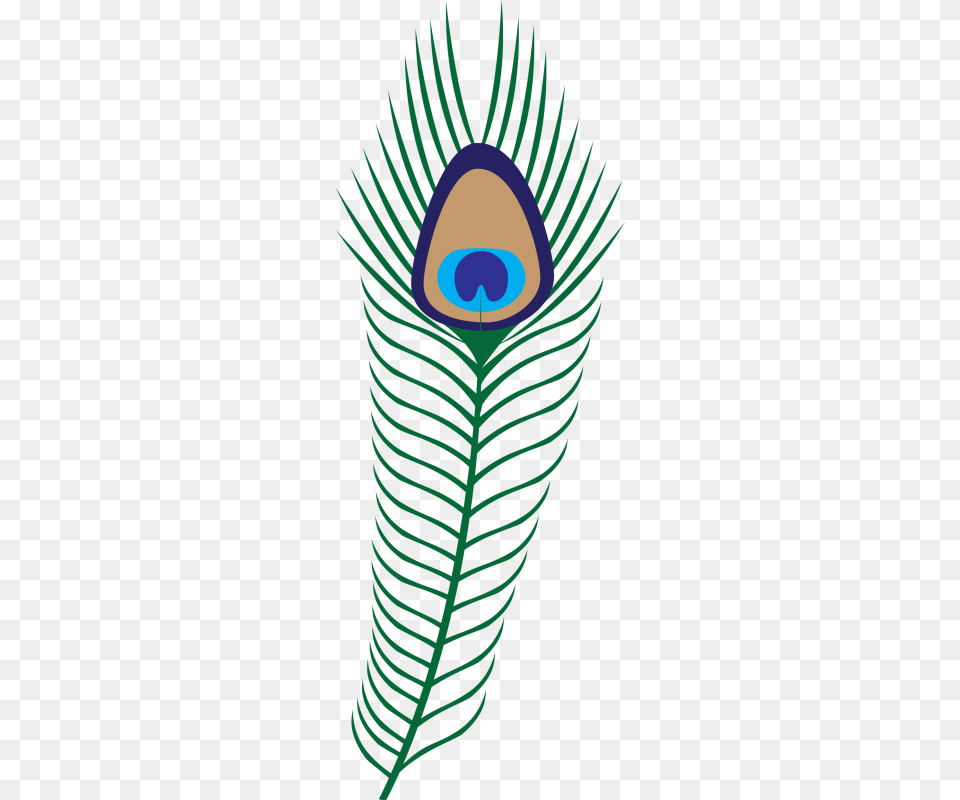 Pin Peacock Feather Clip Art Free Download Transparent Background Peafowl Clipart, Pattern Png Image