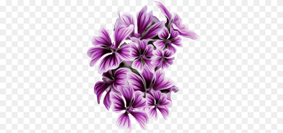 Pin Purple Flowers Hd, Flower, Geranium, Plant, Petal Free Transparent Png