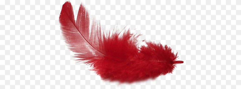 Pin Red Feather Clipart, Accessories, Feather Boa Free Png Download