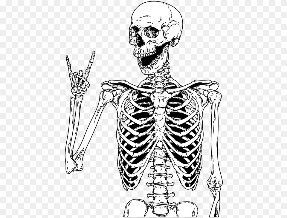 Pin Skeleton Doing Peace Sign, Adult, Male, Man, Person Png Image