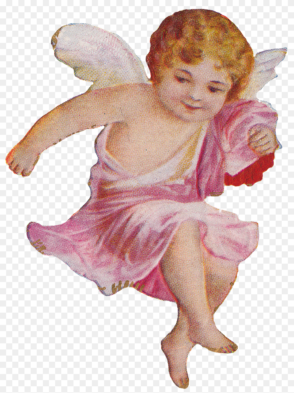 Pin Transparent Cherub, Baby, Person, Face, Head Free Png Download