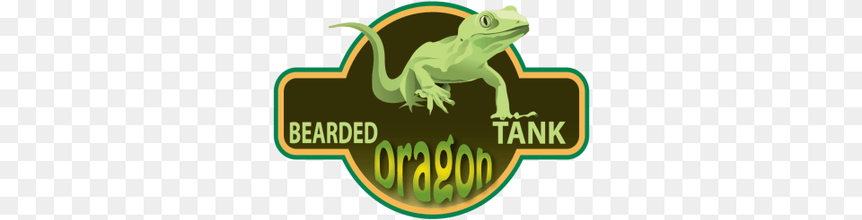 Pin True Frog, Animal, Gecko, Lizard, Reptile Free Png