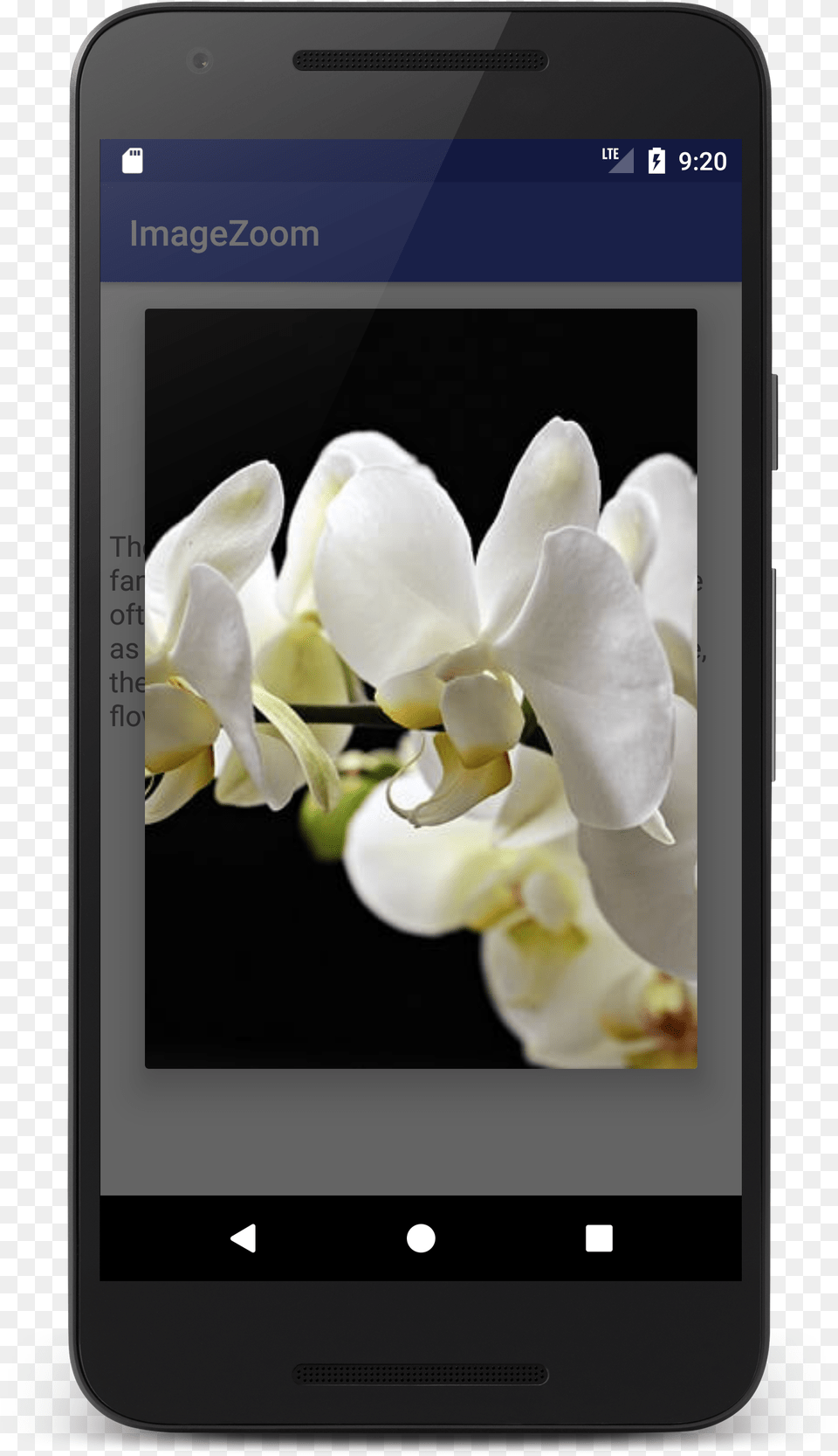 Pinch To Zoom Android Pinch Zoom Imageview Android Studio, Electronics, Flower, Mobile Phone, Phone Free Png