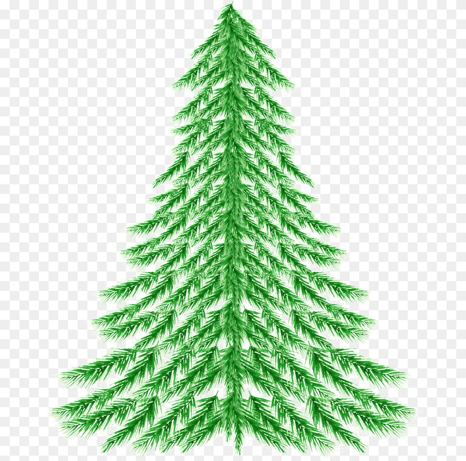 Pine, Plant, Tree, Christmas, Christmas Decorations Free Transparent Png