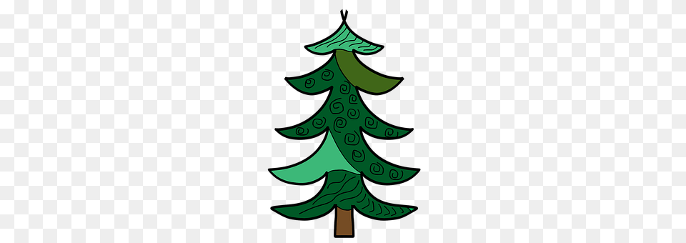 Pine Plant, Tree, Christmas, Christmas Decorations Free Png Download