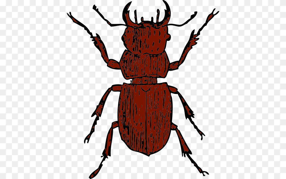 Pine Beetle Clip Arts For Web, Person, Animal, Dung Beetle, Insect Png