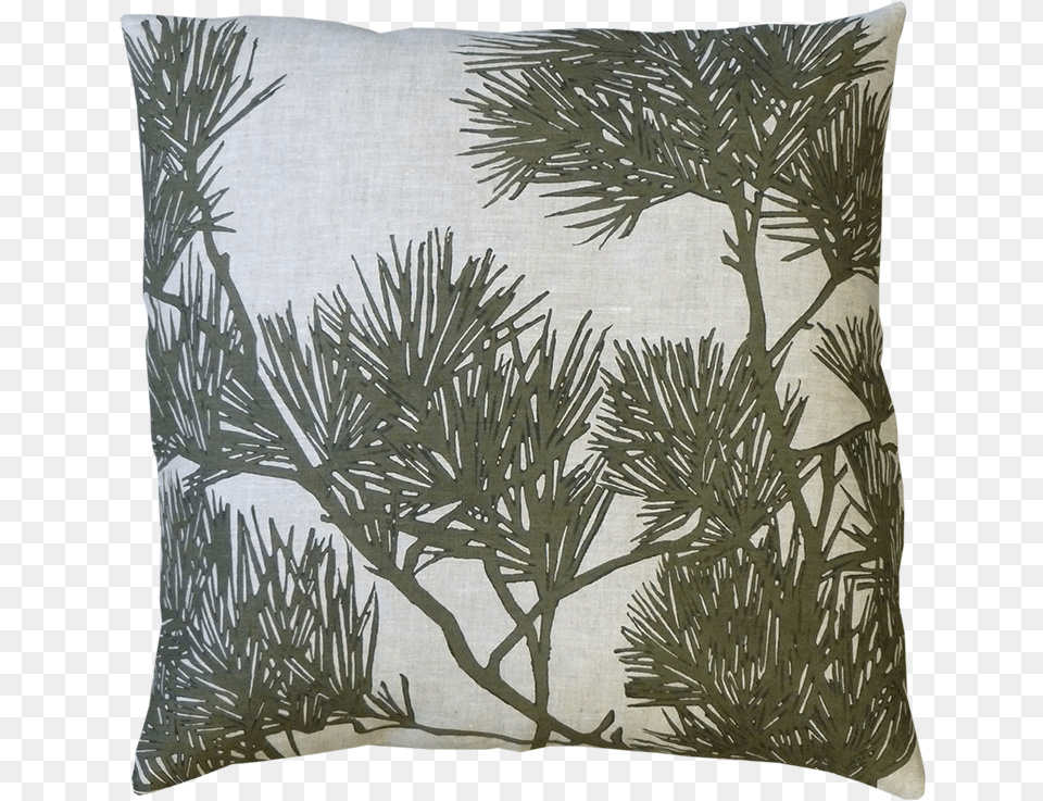 Pine Bough, Cushion, Home Decor, Pillow, Plant Free Transparent Png