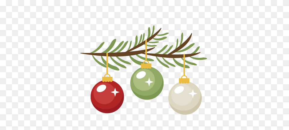 Pine Bough Cutting Winter Cuts Winter, Accessories, Plant, Tree, Ornament Free Transparent Png