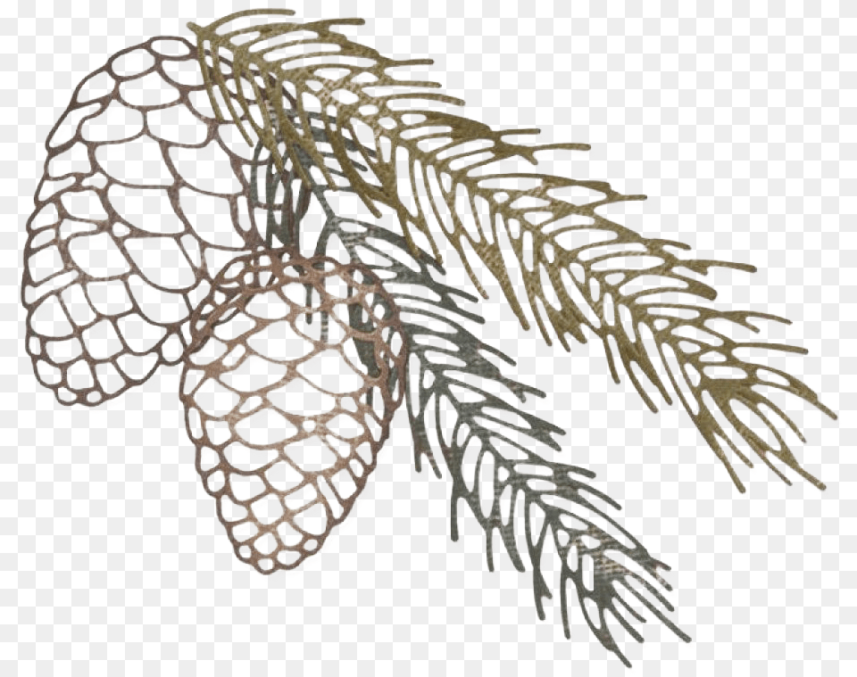 Pine Branch Clipart Sizzix Pine Cone Die, Fir, Plant, Tree, Conifer Png