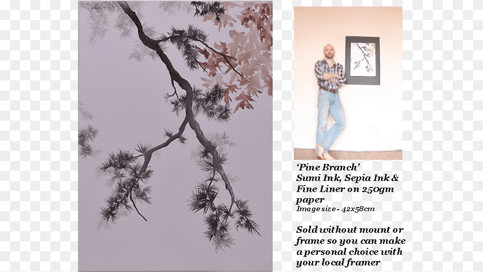 Pine Branch Ink Painting Gillies Web Pond Pine, Tree, Plant, Clothing, Pants Free Transparent Png