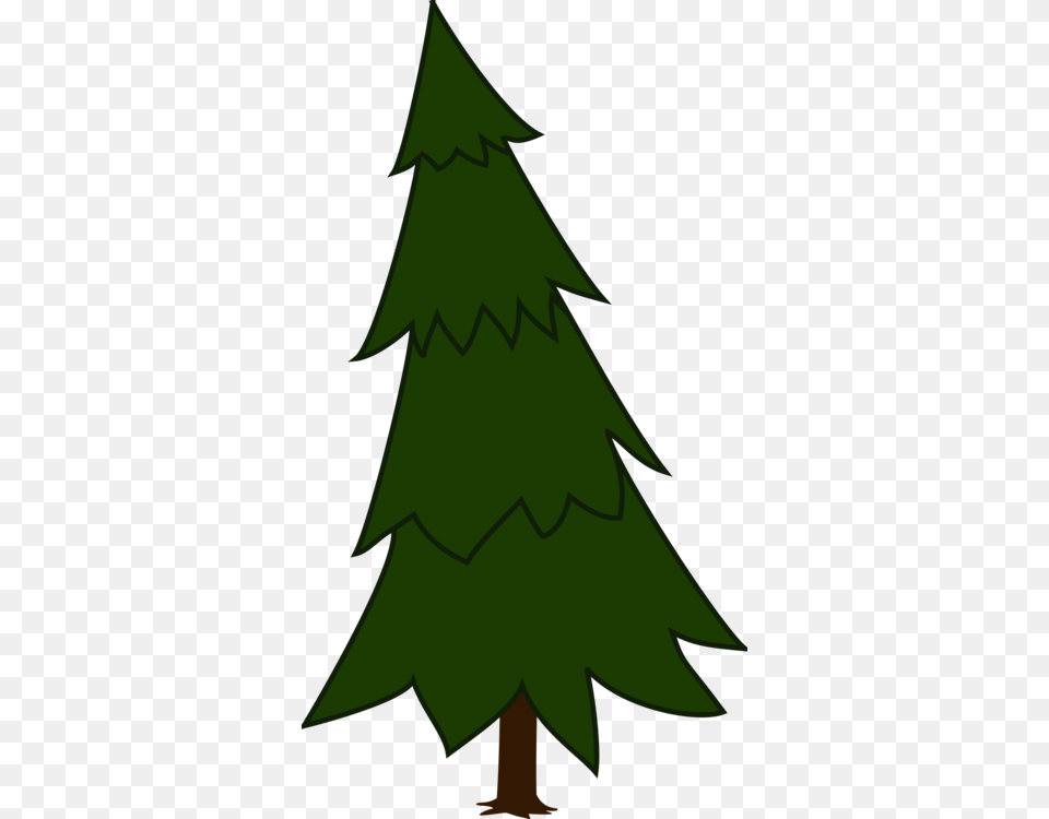 Pine Christmas Tree Fir Spruce, Green, Plant, Person, Christmas Decorations Png Image
