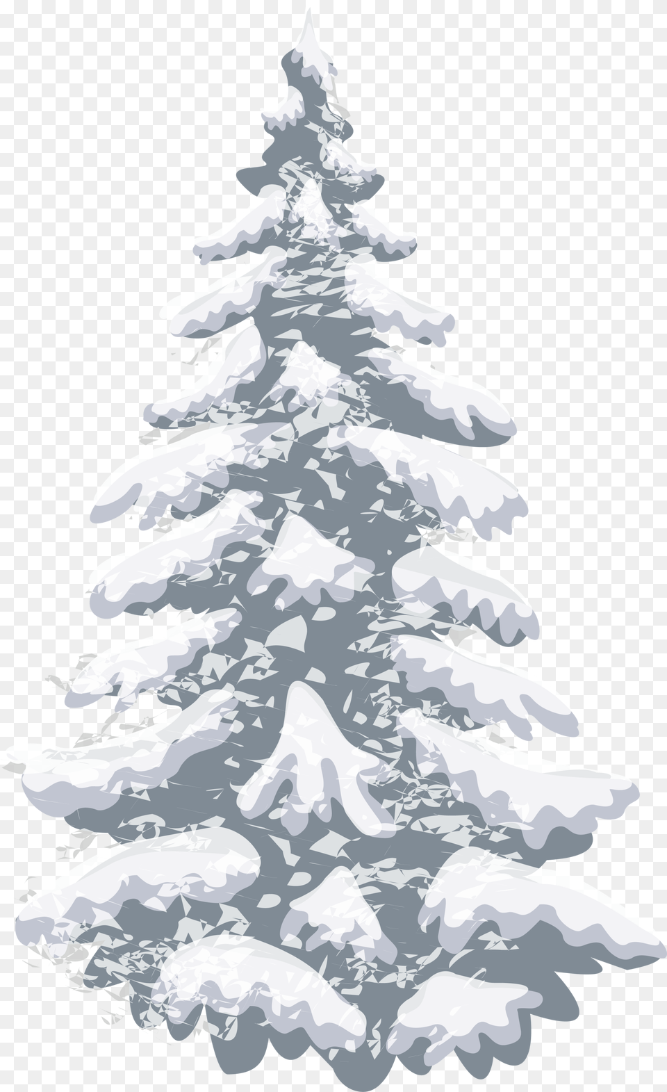 Pine Christmas Tree Transparent Snow Tree, Fir, Plant, Wedding, Adult Free Png