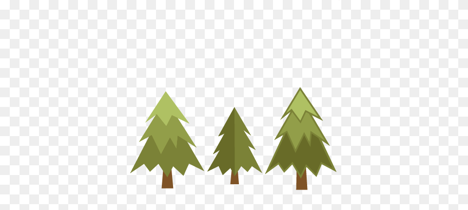 Pine Clipart Tree Background, Green, Plant, Fir, Leaf Png Image