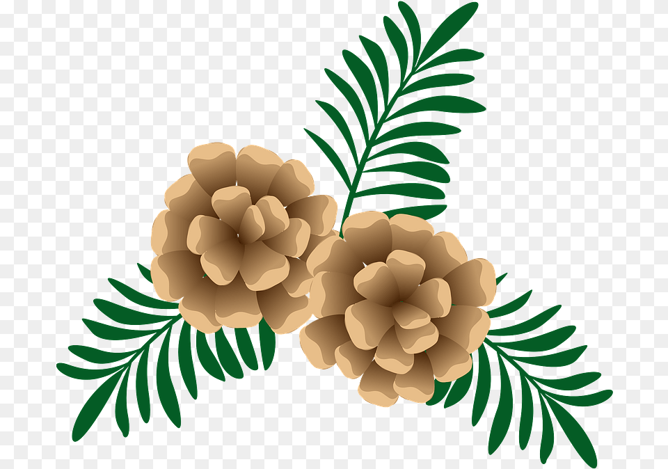 Pine Cone And Needles Clipart Download Pinecone, Conifer, Plant, Tree, Art Png Image