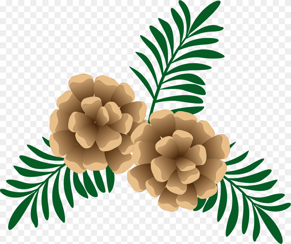 Pine Cone And Pine Needles Clipart, Art, Conifer, Floral Design, Graphics Png