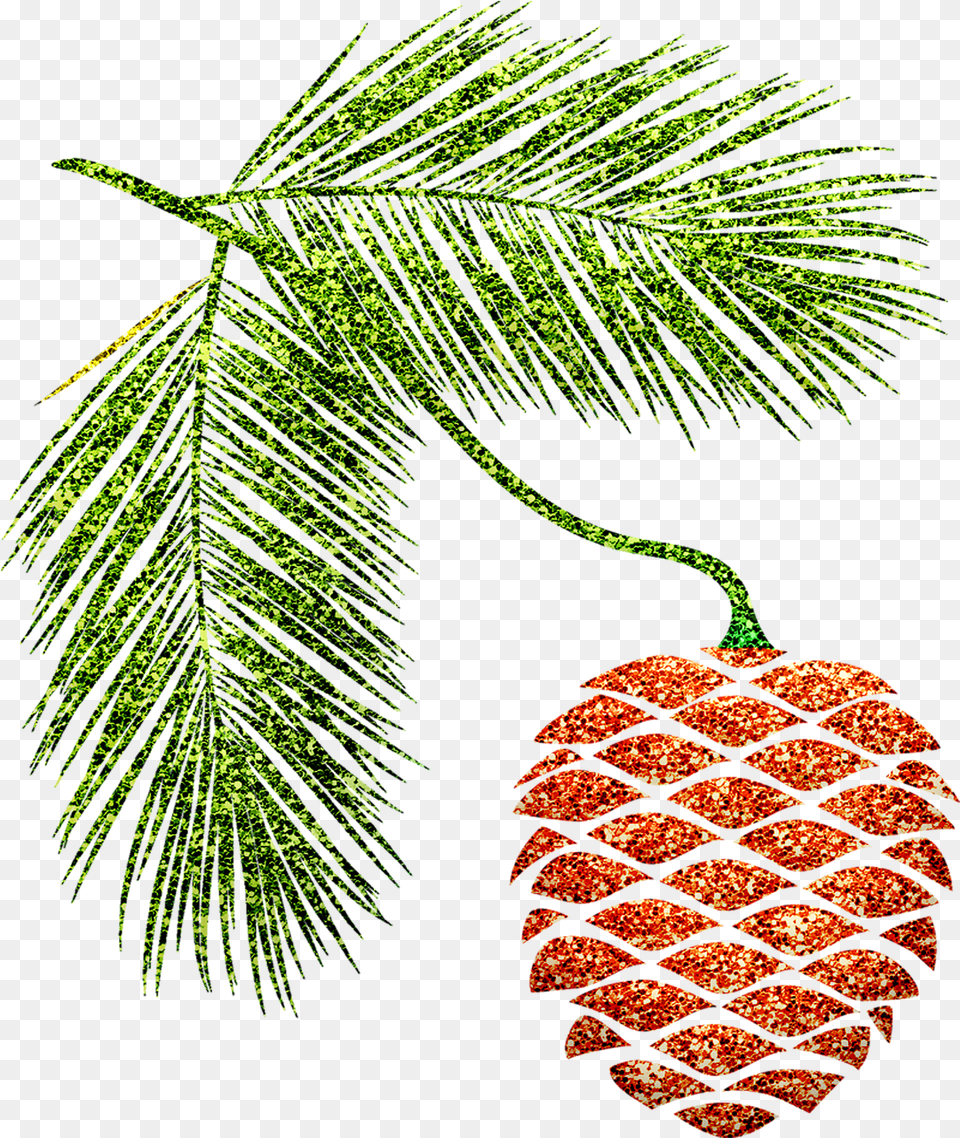 Pine Cone Branches Autumn On Pixabay Pinheiro Desenho Com Pinha, Conifer, Plant, Tree, Accessories Free Png