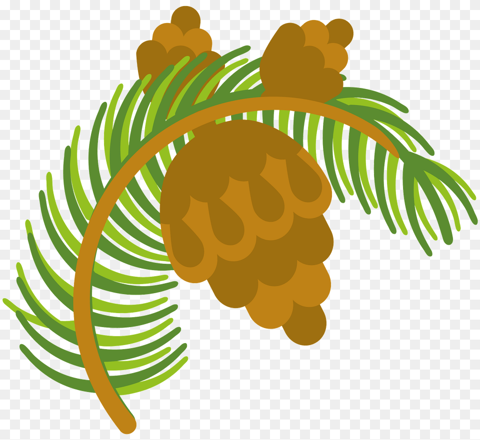 Pine Cone Clipart, Conifer, Plant, Tree, Larch Free Png