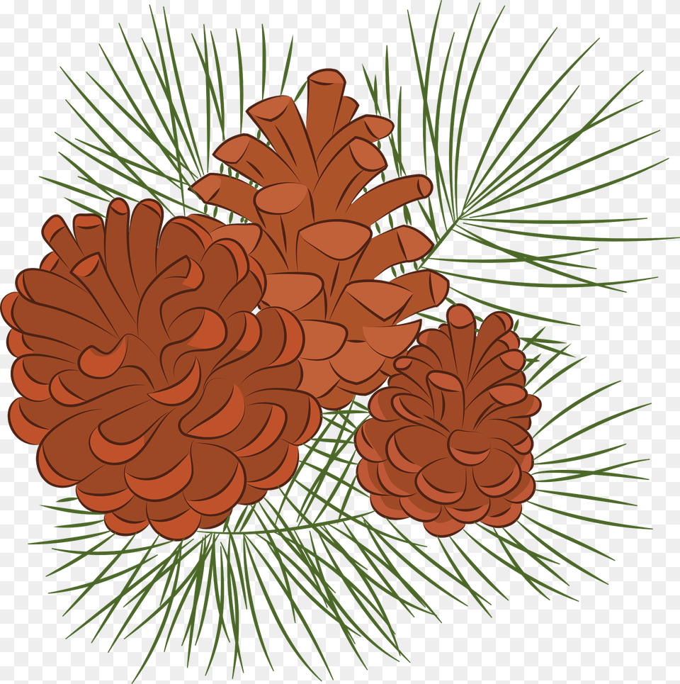 Pine Cone Clipart, Art, Floral Design, Graphics, Pattern Free Png Download