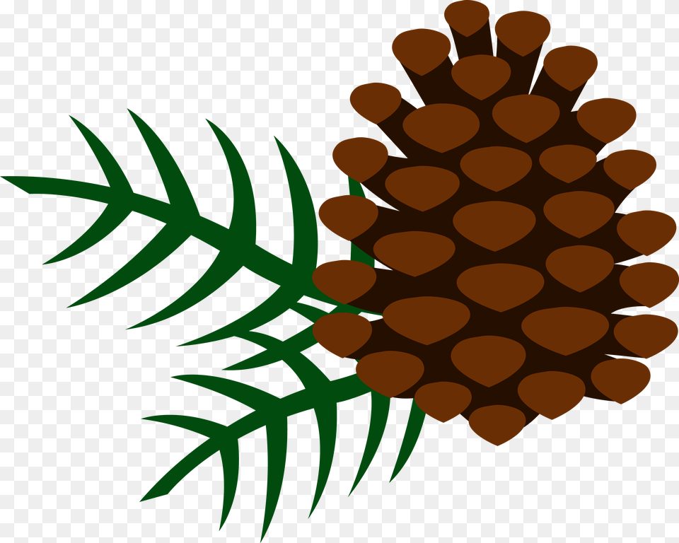 Pine Cone Clipart Clip Art Pine Cone, Conifer, Plant, Tree, Leaf Free Transparent Png