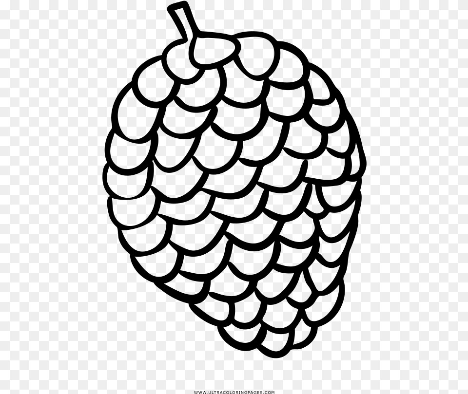 Pine Cone Coloring, Gray Free Png Download