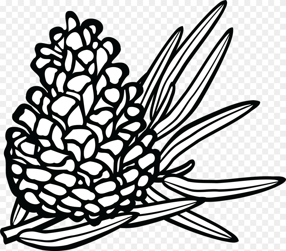 Pine Cone Line Drawing Pine Cone Clipart Conifers Clipart Black And White, Plant, Tree, Art, Conifer Free Transparent Png