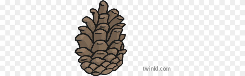 Pine Cone New Illustration Twinkl Conifer Cone, Plant, Tree Png