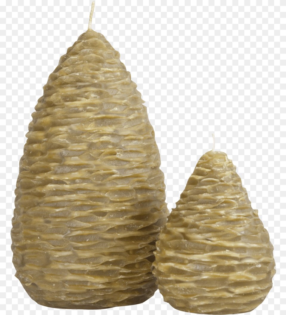 Pine Cone Pears, Food, Fruit, Pear, Plant Png