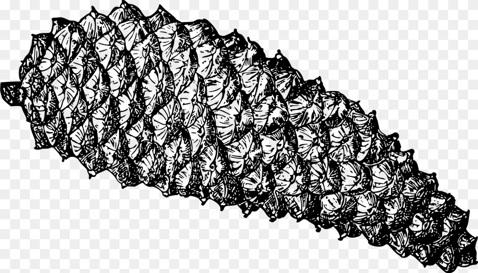 Pine Cone Pine Cone, Gray Png
