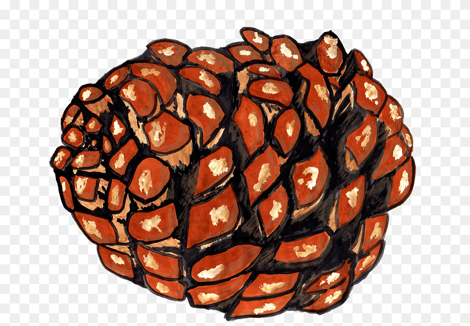 Pine Cones Pine Watercolor Isolated Handpainted Illustration, Plant, Tree, Food, Nut Free Transparent Png