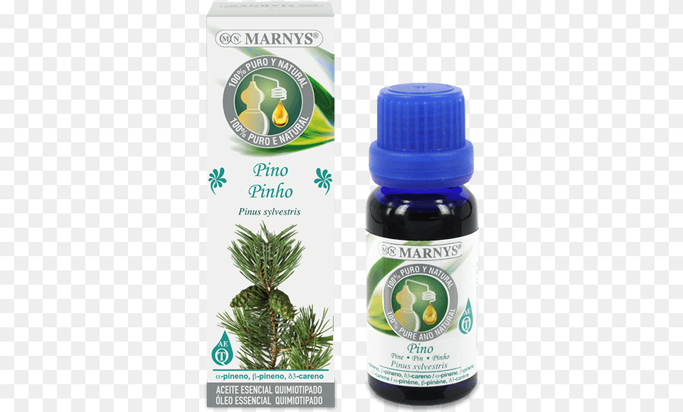 Pine Essential Oil Aceite De Anis De Estrella, Herbal, Herbs, Plant, Food Free Png Download