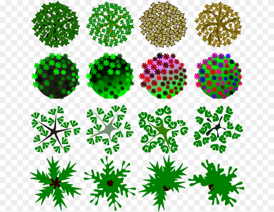 Pine Familyplantflora Morphe, Accessories, Pattern, Fractal, Ornament Png Image