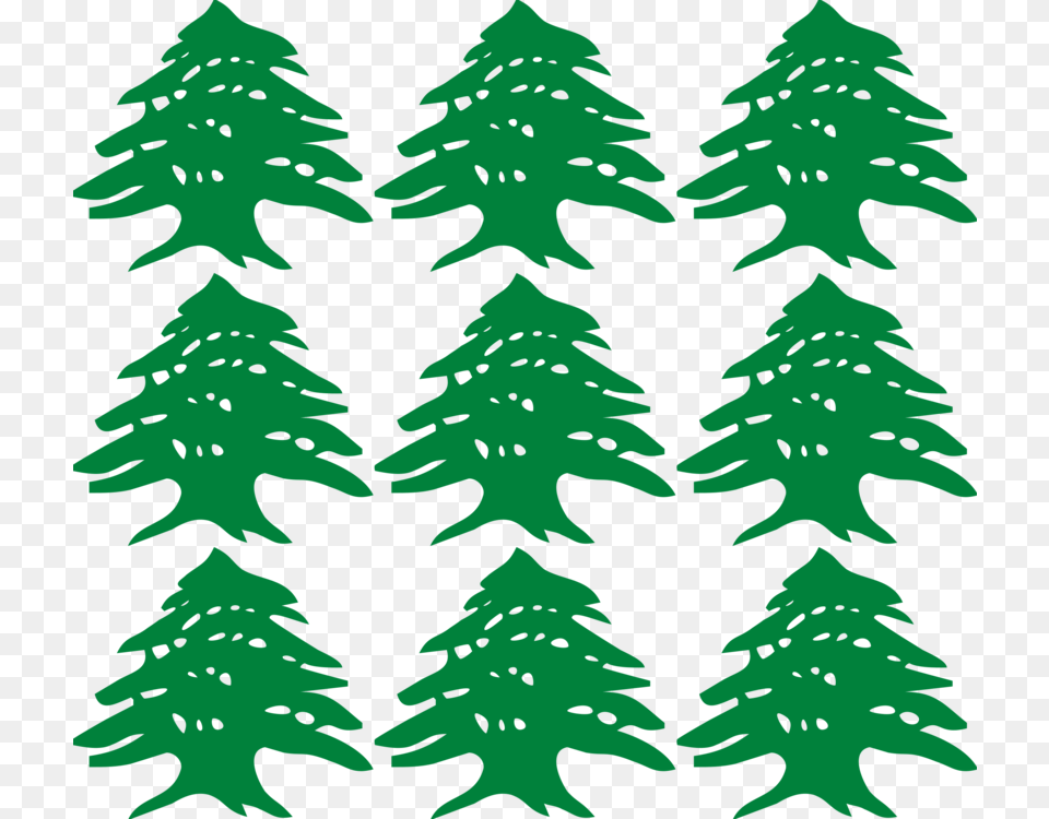Pine Familyplantleaf Lebanese Cedar Tree Vector, Plant, Christmas, Christmas Decorations, Festival Png